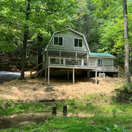 Fresh Air Cabin - Secluded 1 Acre 2Bd, 2Bth - Dogs Allowed Βίλα Ellijay Εξωτερικό φωτογραφία